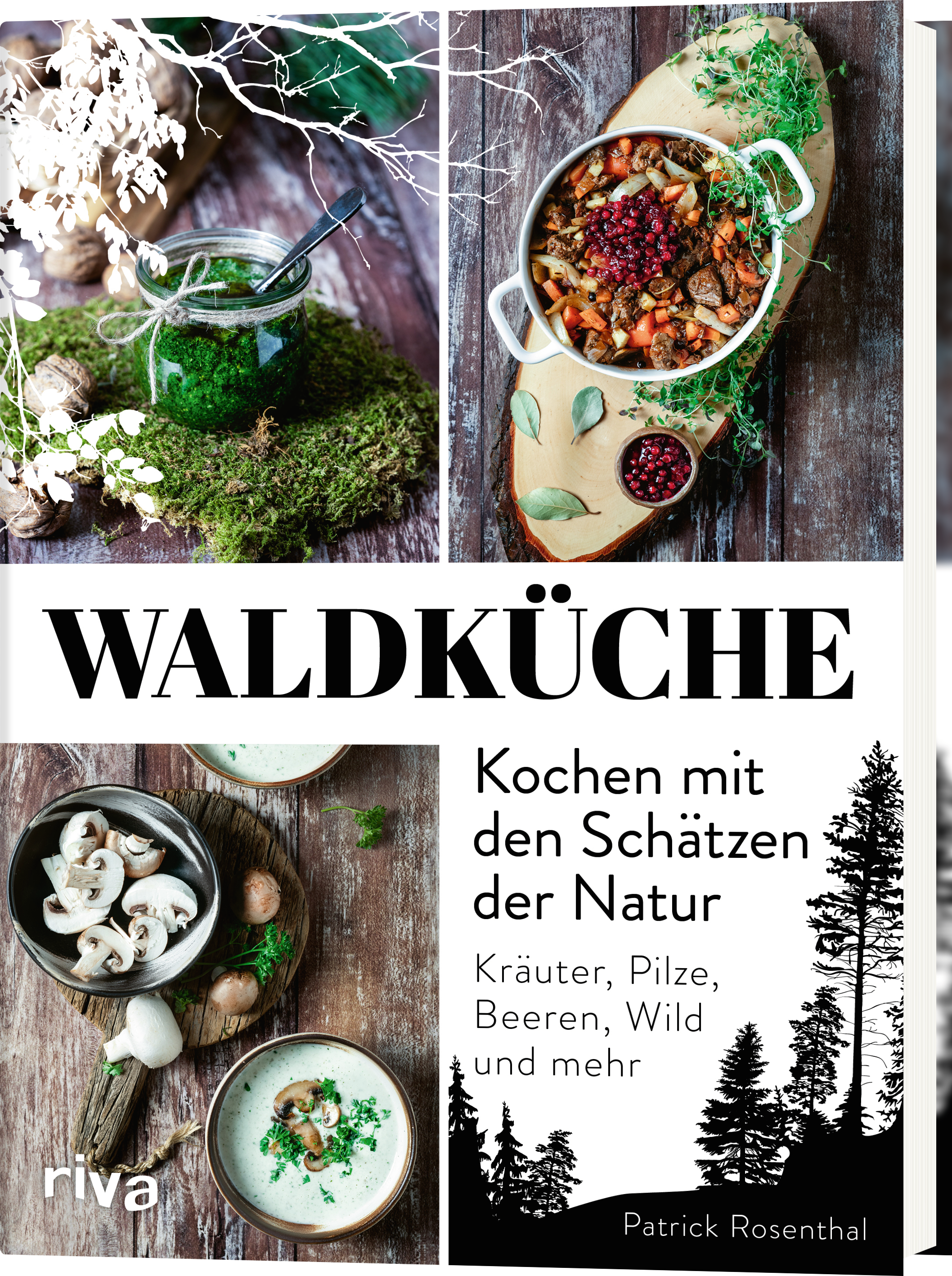 Waldküche: Kochen mit den Schätzen der Natur